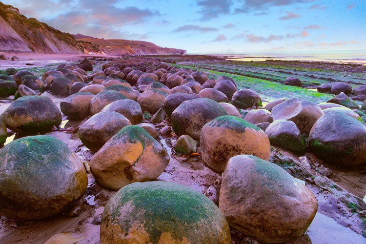 Bowling Ball Beach, California by Tim Fitzharris wall art