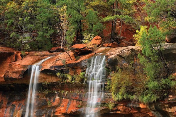 Utah: Cascades Tumbling 110 Feet At Emerald Pools, Note The Black Streaks Called Desert Varnish, Zion National Park, Utah II by Tim Fitzharris