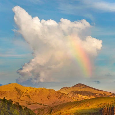 Rainbow, Cochetopa Hills, Rio Grande National Forest, Colorado by Tim Fitzharris framed wall art
