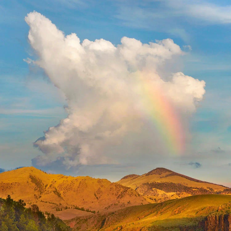 Rainbow, Cochetopa Hills, Rio Grande National Forest, Colorado