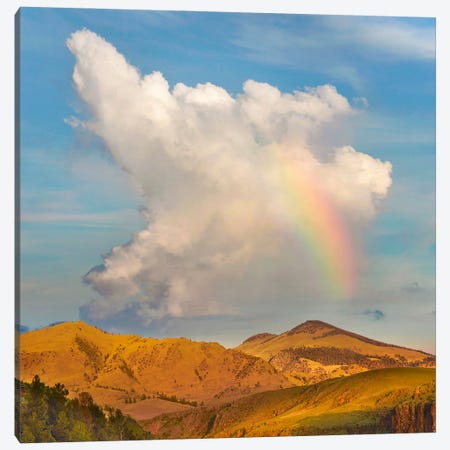 Rainbow, Cochetopa Hills, Rio Grande National Forest, Colorado Canvas Print #TFI1941} by Tim Fitzharris Canvas Artwork