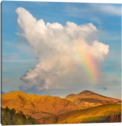 Rainbow, Cochetopa Hills, Rio Grande National Forest, Colorado Canvas Art Print - Tim Fitzharris