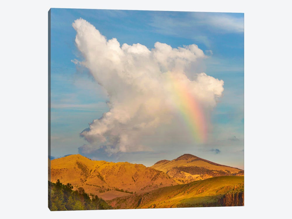 Rainbow, Cochetopa Hills, Rio Grande National Forest, Colorado by Tim Fitzharris 1-piece Canvas Art