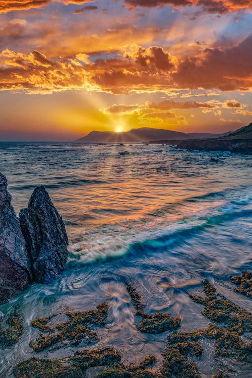Sunset, Estero Bluffs State Park, Big Sur, California by Tim Fitzharris wall art