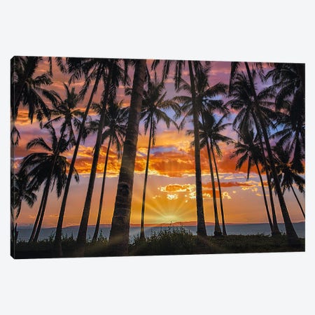Coconut Palms At Sunset, Bohol Island, Philippines Canvas Print #TFI1948} by Tim Fitzharris Canvas Artwork