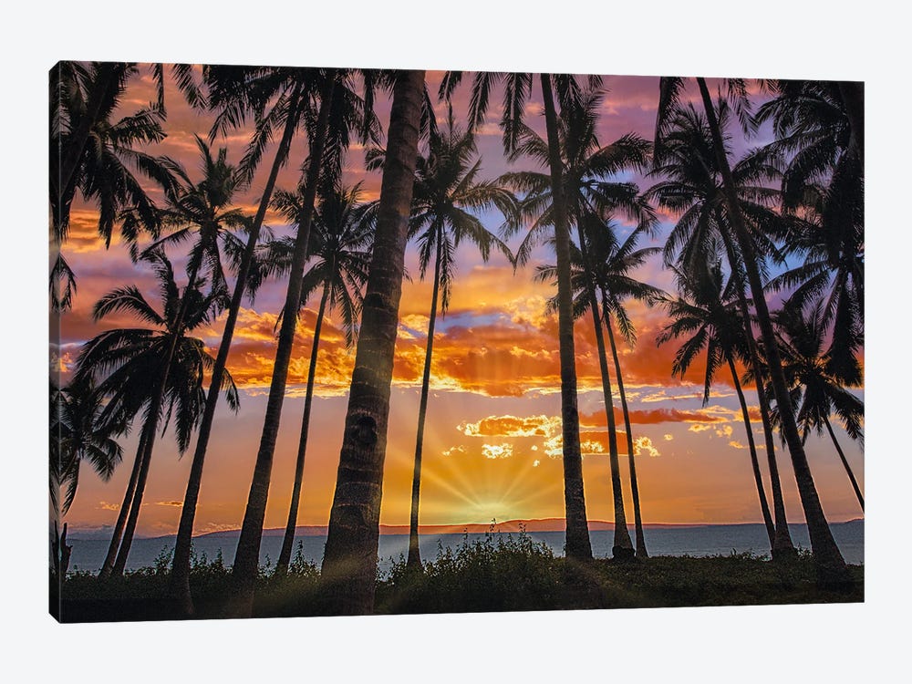 Coconut Palms At Sunset, Bohol Island, Philippines by Tim Fitzharris 1-piece Art Print