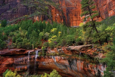 Cascades Tumbling 110 Feet At Emerald Pools, Note The Black Streaks Called Desert Varnish, Zion National Park, Utah IV by Tim Fitzharris canvas print