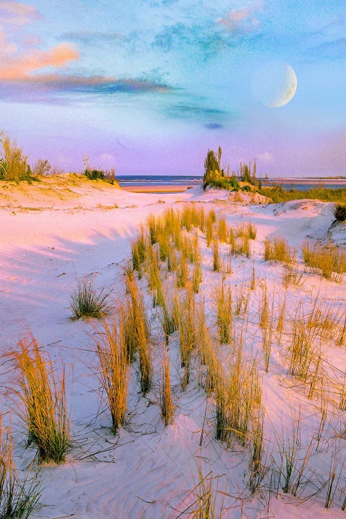 Moon Over, Little Talbot Island State Park, Florida, Digital Composite