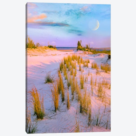 Moon Over, Little Talbot Island State Park, Florida, Digital Composite Canvas Print #TFI1954} by Tim Fitzharris Canvas Wall Art
