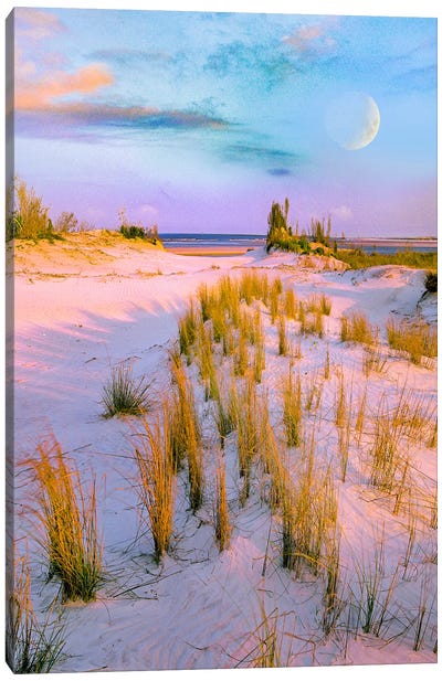 Moon Over, Little Talbot Island State Park, Florida, Digital Composite Canvas Art Print - Tim Fitzharris