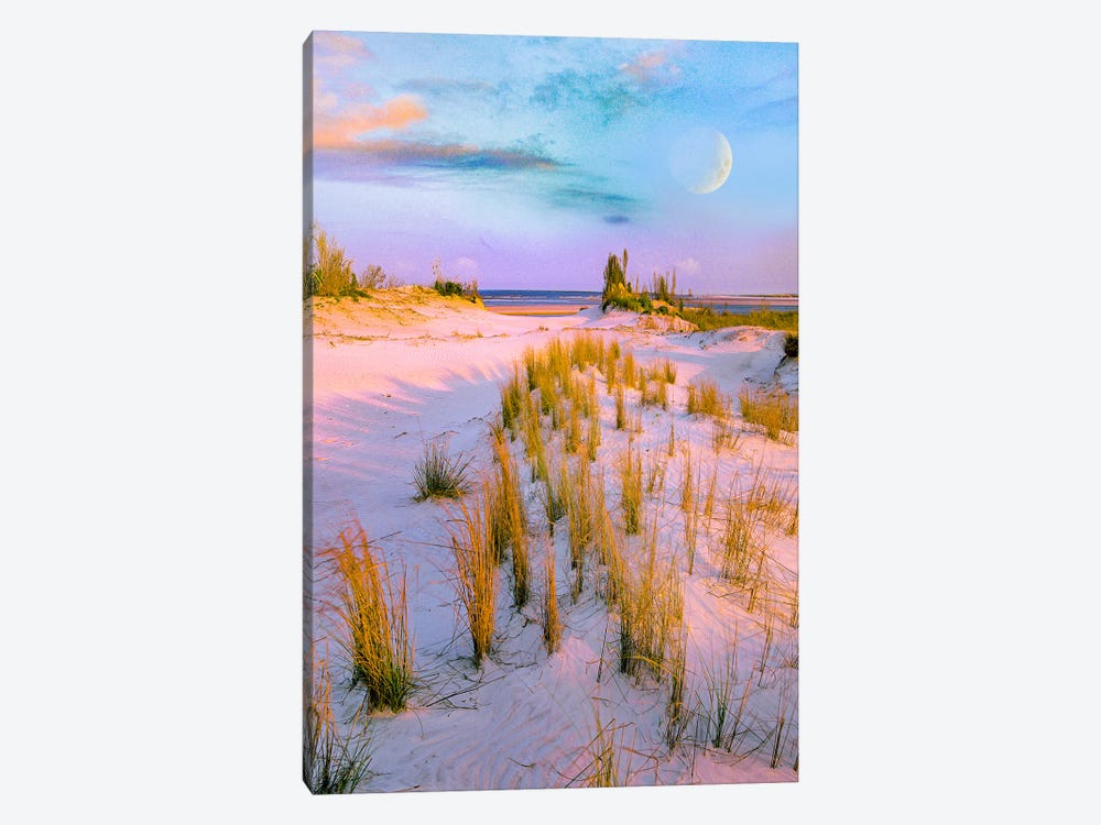 Moon Over, Little Talbot Island State Park, Florida, Digital Composite by Tim Fitzharris 1-piece Canvas Wall Art