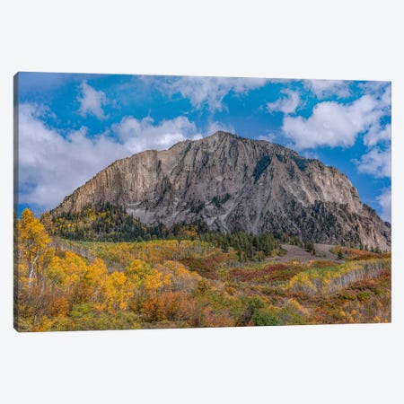 Quaking Aspens And Oaks In Autumn, Marcellina Mountain, Raggeds Wilderness, Colorado Canvas Print #TFI1956} by Tim Fitzharris Canvas Wall Art