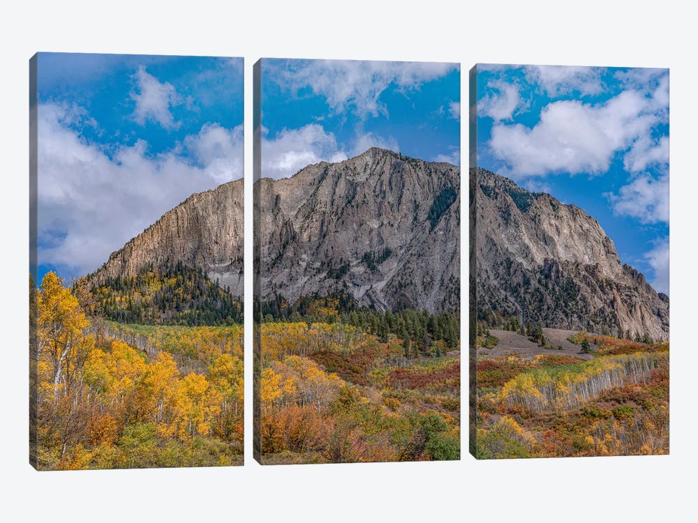 Quaking Aspens And Oaks In Autumn, Marcellina Mountain, Raggeds Wilderness, Colorado by Tim Fitzharris 3-piece Canvas Wall Art
