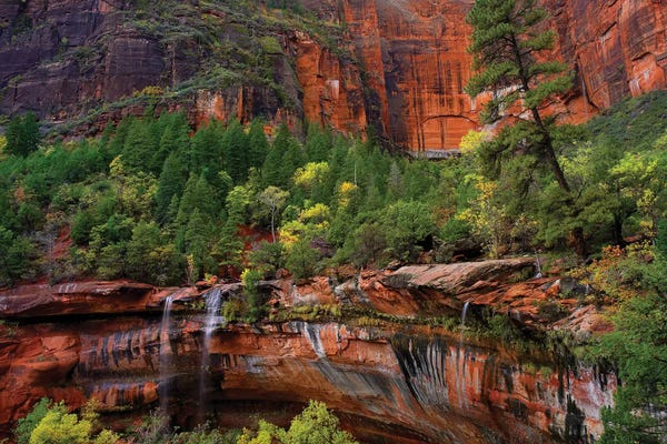 Utah: Cascades Tumbling 110 Feet At Emerald Pools, Note The Black Streaks Called Desert Varnish, Zion National Park, Utah IV by Tim Fitzharris