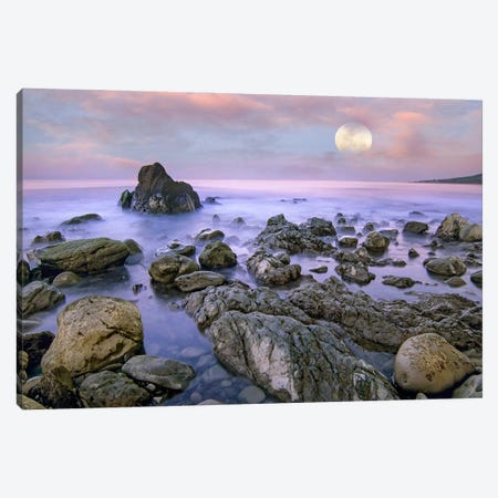 Moon Over El Pescador State Beach, California, Composite Canvas Print #TFI1964} by Tim Fitzharris Art Print