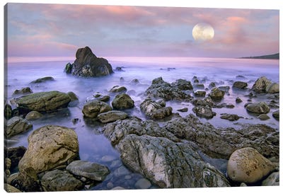 Moon Over El Pescador State Beach, California, Composite Canvas Art Print - Tim Fitzharris
