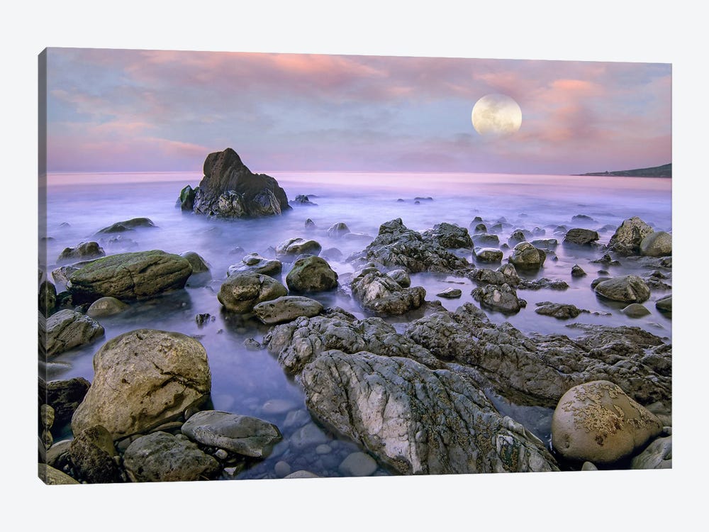 Moon Over El Pescador State Beach, California, Composite by Tim Fitzharris 1-piece Canvas Art Print