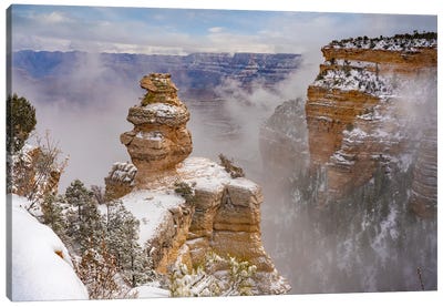 Snow On Duck On A Rock, Grand Canyon National Park, Arizona Canvas Art Print - Tim Fitzharris