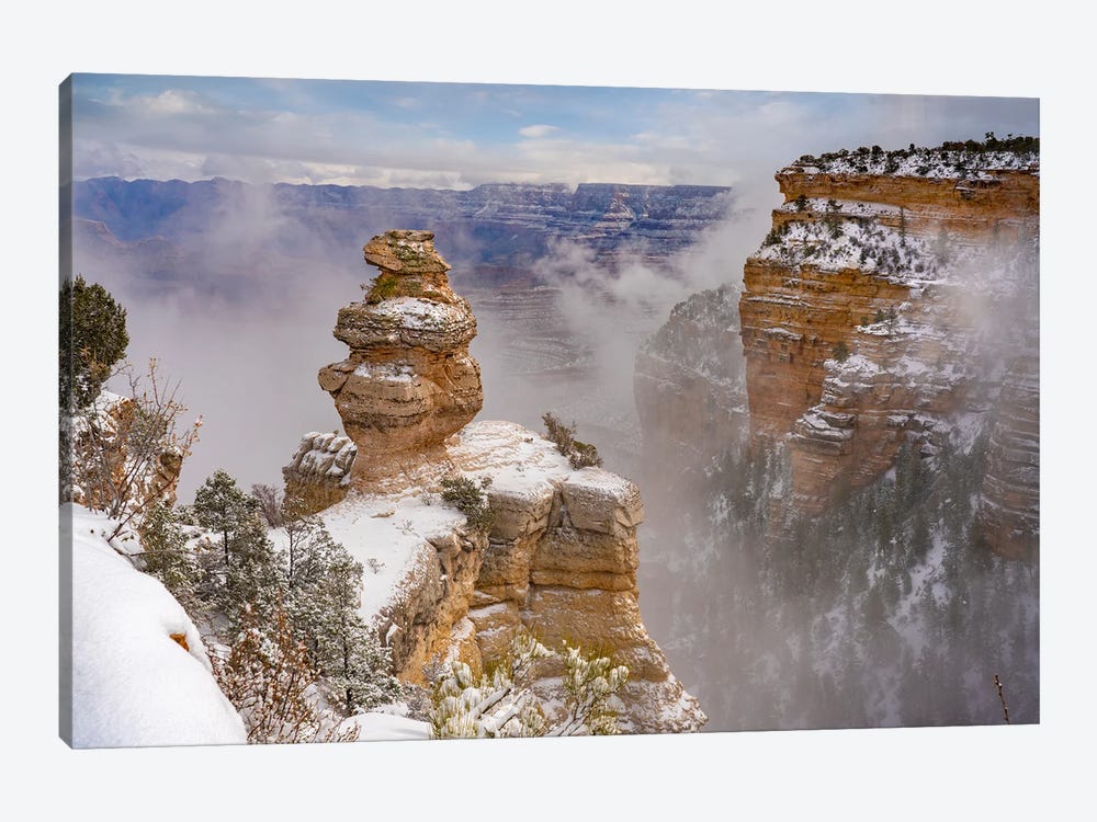 Snow On Duck On A Rock, Grand Canyon National Park, Arizona by Tim Fitzharris 1-piece Canvas Artwork