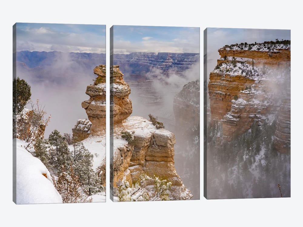 Snow On Duck On A Rock, Grand Canyon National Park, Arizona by Tim Fitzharris 3-piece Canvas Artwork