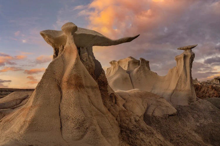 The Wings, Bisti Badlands, New Mexico