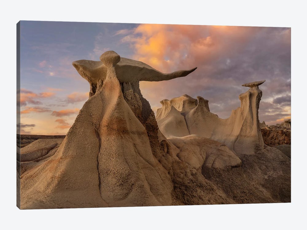 The Wings, Bisti Badlands, New Mexico by Tim Fitzharris 1-piece Canvas Artwork