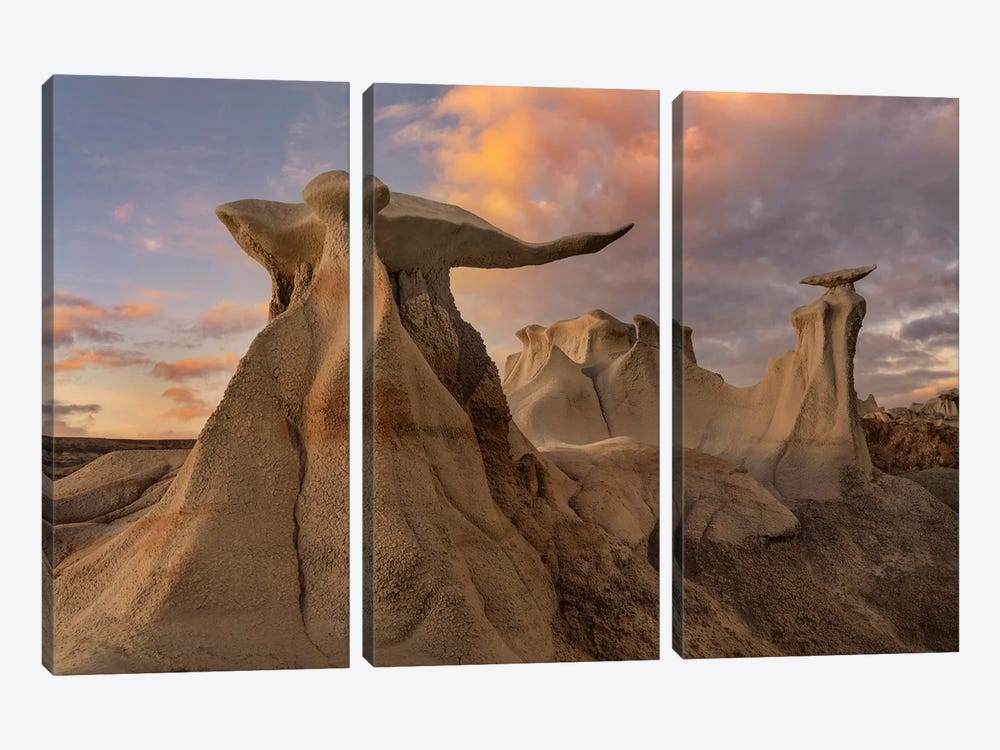 The Wings, Bisti Badlands, New Mexico by Tim Fitzharris 3-piece Canvas Wall Art
