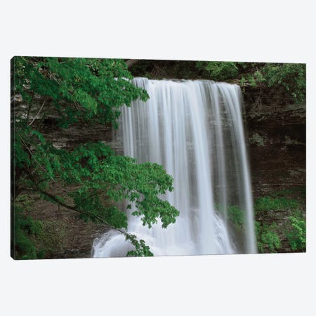 Cascading Waterfall In Jefferson National Forest, Virginia Canvas Print #TFI196} by Tim Fitzharris Canvas Print