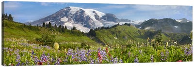 Wildflowers In Meadow, Mount Rainier National Park, Washington Canvas Art Print - Tim Fitzharris