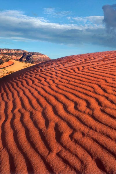 Ripples, Coral Pink Sand Dunes State Park, Utah by Tim Fitzharris metal wall art