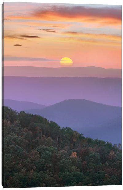 Blue Ridge Sunrise, Great Smoky Mountains National Park, Tennessee Canvas Art Print - Mountain Sunrise & Sunset Art