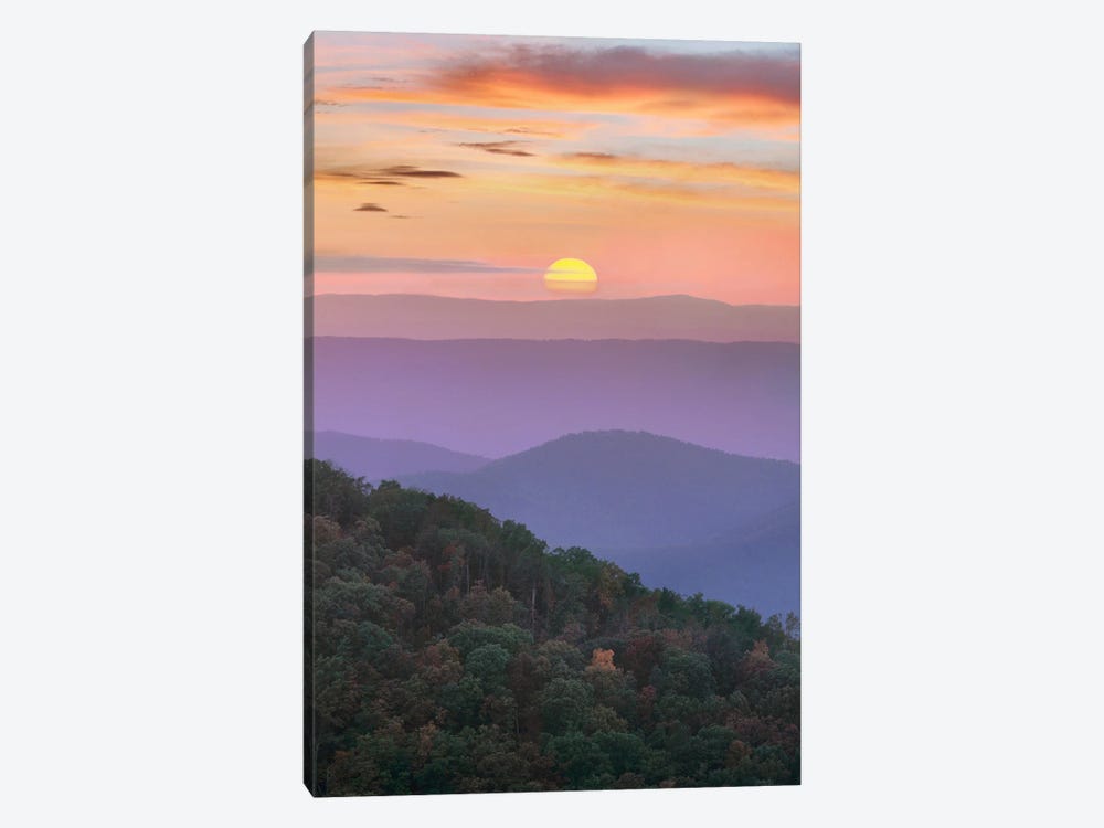 Blue Ridge Sunrise, Great Smoky Mountains National Park, Tennessee by Tim Fitzharris 1-piece Canvas Print