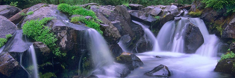 Paradise River, Mount Rainier National Park, Washington