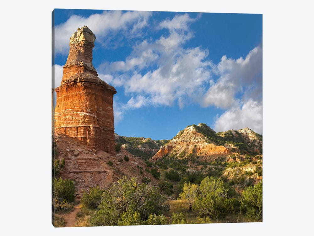 Lighthouse, Palo Duro Canyon State Park, Texas Panhandle, High Plains, Texas, USA by Tim Fitzharris 1-piece Art Print