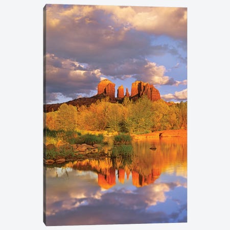 Cathedral Rock Reflected In Oak Creek At Red Rock Crossing, Red Rock State Park Near Sedona, Arizona III Canvas Print #TFI202} by Tim Fitzharris Canvas Art