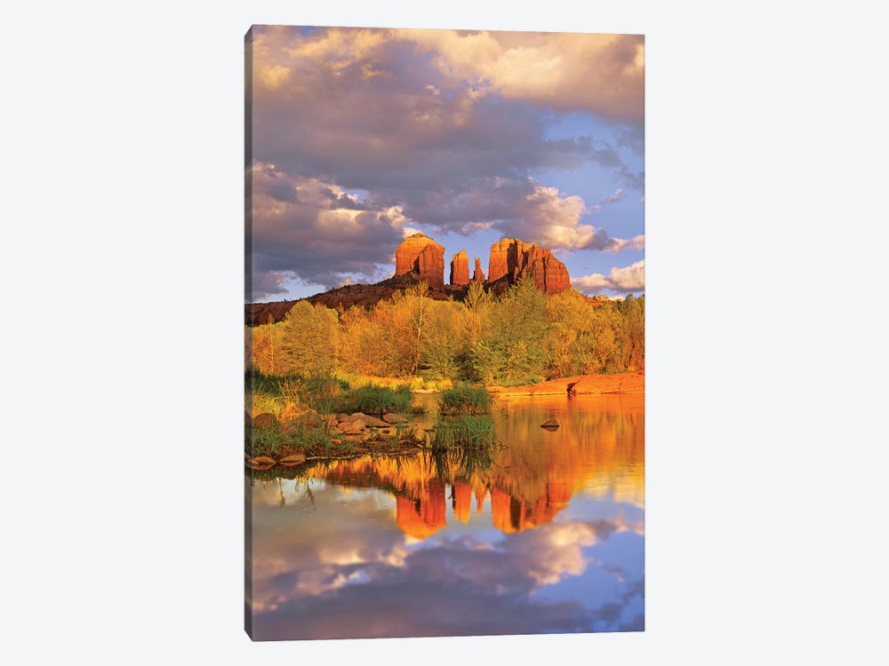 Cathedral Rock Reflected In Oak Creek At Red Rock Crossing, Red Rock State Park Near Sedona, Arizona III by Tim Fitzharris 1-piece Art Print