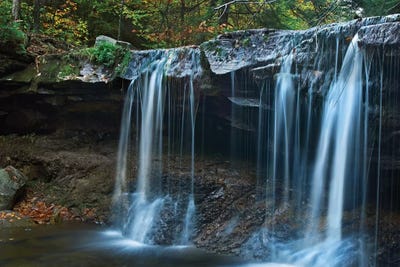 Cayuga Falls, Ricketts Glen State Park, Pennsylvania by Tim Fitzharris art print