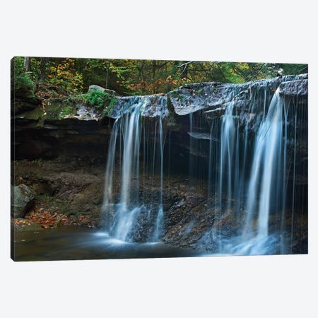 Cayuga Falls, Ricketts Glen State Park, Pennsylvania Canvas Print #TFI205} by Tim Fitzharris Canvas Art Print