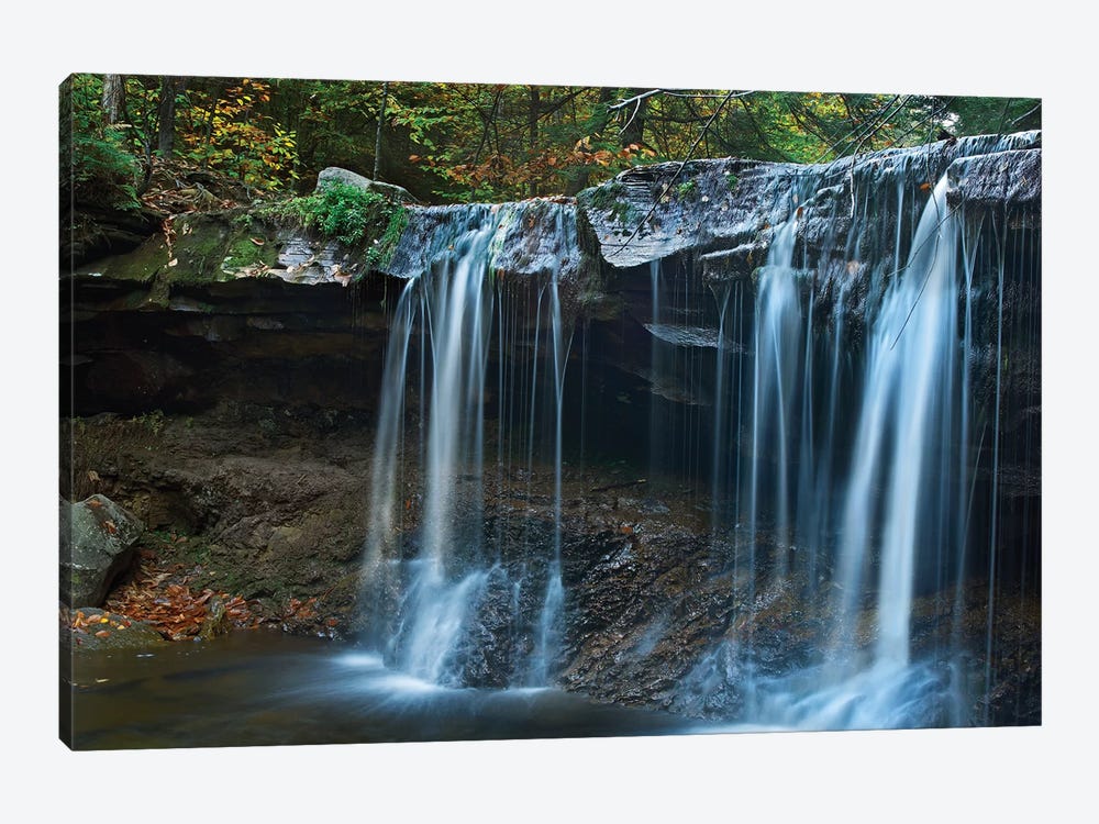 Cayuga Falls, Ricketts Glen State Park, Pennsylvania by Tim Fitzharris 1-piece Canvas Art