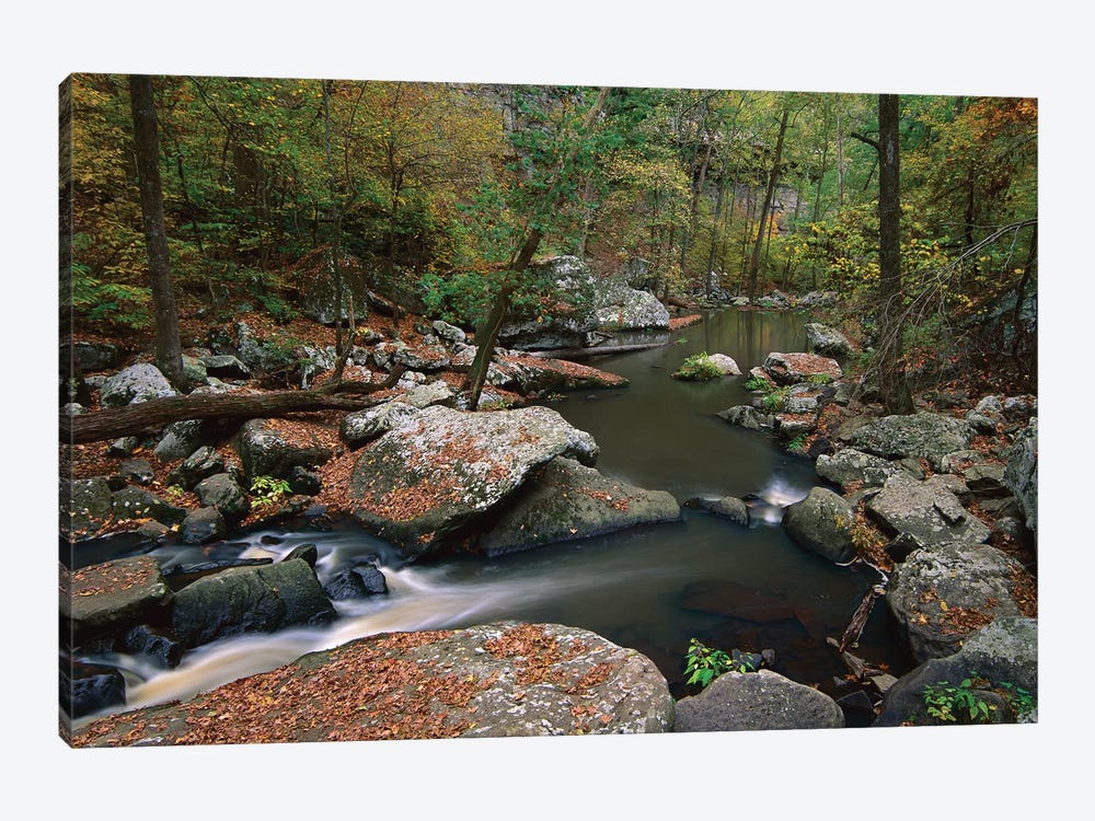 Cedar Creek Flowing Through Deciduous Forest, Petit Jean State Park, Arkansas by Tim Fitzharris 1-piece Art Print