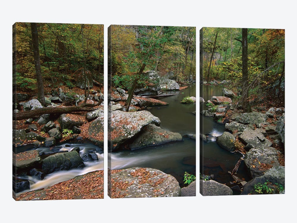 Cedar Creek Flowing Through Deciduous Forest, Petit Jean State Park, Arkansas by Tim Fitzharris 3-piece Art Print
