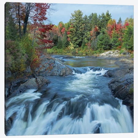 Chutes Provincial Park, Ontario, Canada II Canvas Print #TFI215} by Tim Fitzharris Canvas Artwork