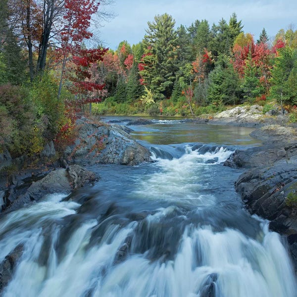 Ontario: Chutes Provincial Park, Ontario, Canada II by Tim Fitzharris