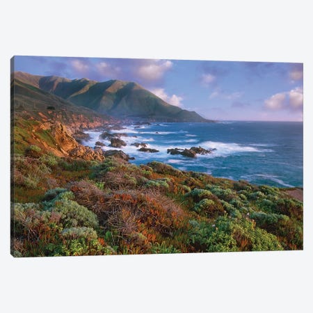 Cliffs And The Pacific Ocean, Garrapata State Beach, Big Sur, California Canvas Print #TFI221} by Tim Fitzharris Canvas Artwork