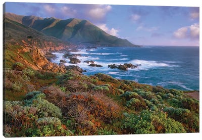 Cliffs And The Pacific Ocean, Garrapata State Beach, Big Sur, California Canvas Art Print - Big Sur Art