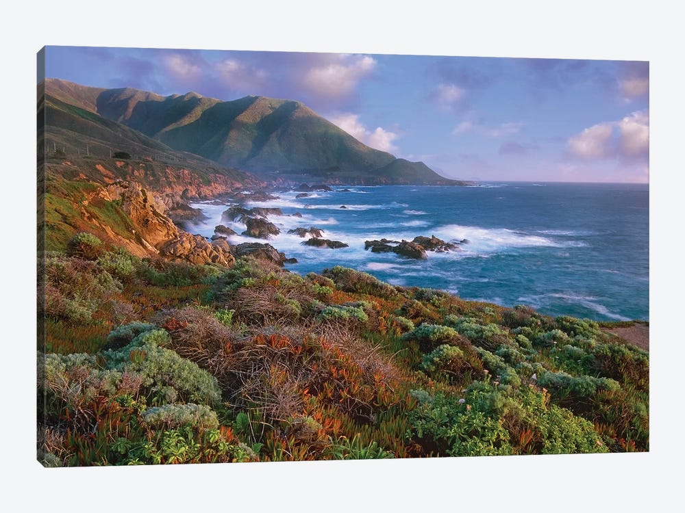 Cliffs And The Pacific Ocean, Garrapata State Beach, Big Sur, California by Tim Fitzharris 1-piece Canvas Wall Art