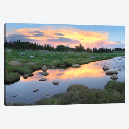Clouds And Sunset Reflected In Stream, Hellroaring Plateau, Montana Canvas Print #TFI222} by Tim Fitzharris Canvas Artwork