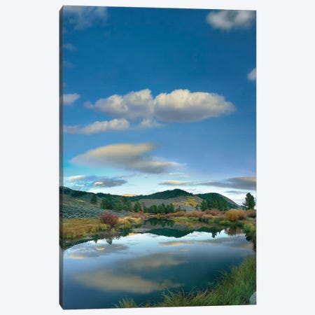 Clouds Reflected In River, Salmon River Valley, Idaho Canvas Print #TFI223} by Tim Fitzharris Canvas Art
