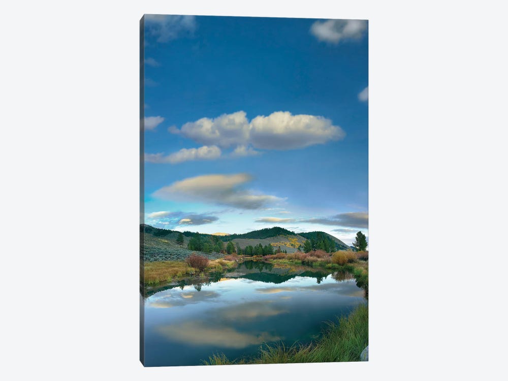 Clouds Reflected In River, Salmon River Valley, Idaho by Tim Fitzharris 1-piece Canvas Art