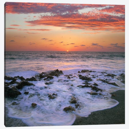 Coast At Sunset, Blowing Rocks Beach, Jupiter Island, Florida Canvas Print #TFI227} by Tim Fitzharris Canvas Art Print